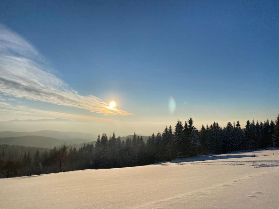 Вілла Blizej Nieba Koskowa Gora Bogdanowka Екстер'єр фото
