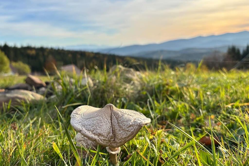 Вілла Blizej Nieba Koskowa Gora Bogdanowka Екстер'єр фото