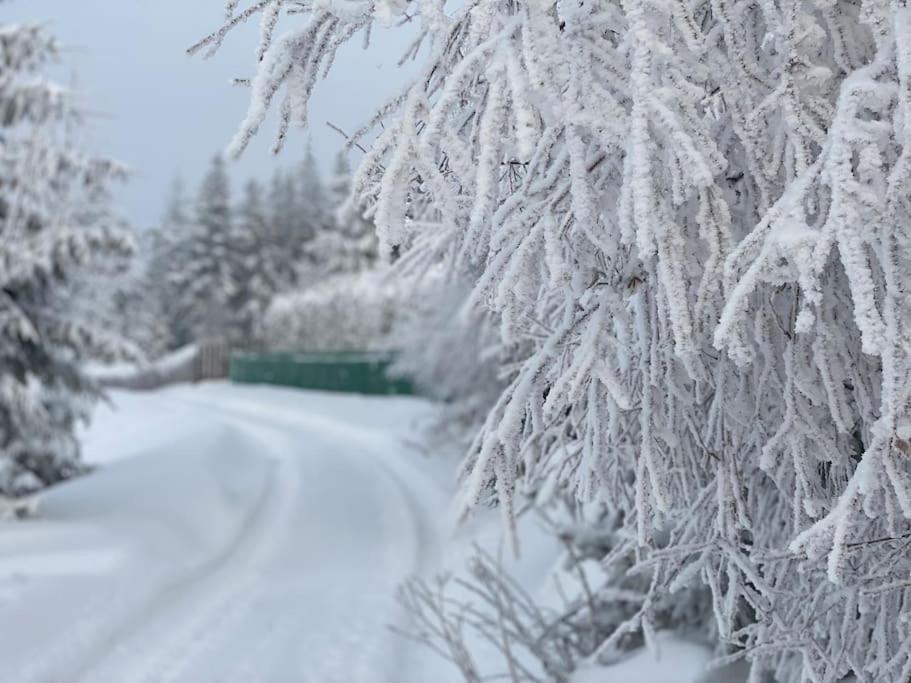 Вілла Blizej Nieba Koskowa Gora Bogdanowka Екстер'єр фото