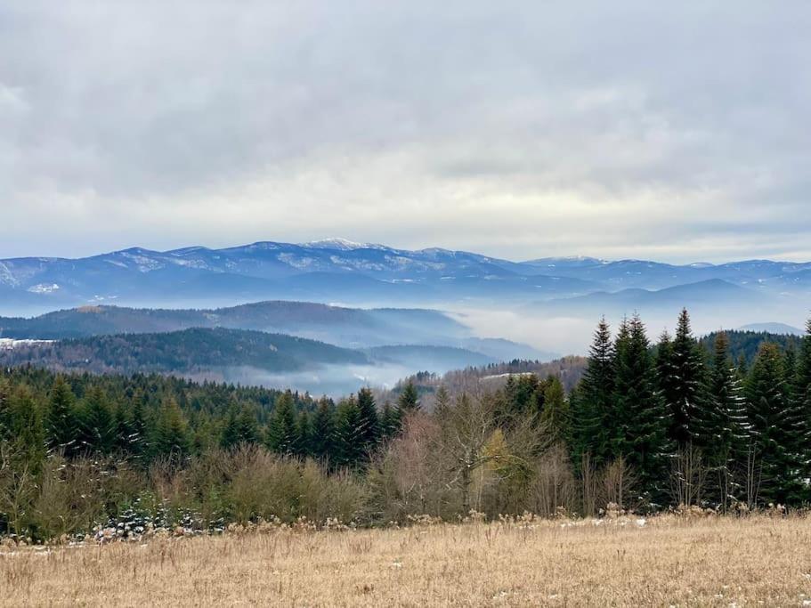 Вілла Blizej Nieba Koskowa Gora Bogdanowka Екстер'єр фото