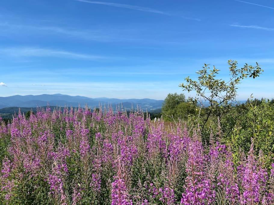 Вілла Blizej Nieba Koskowa Gora Bogdanowka Екстер'єр фото