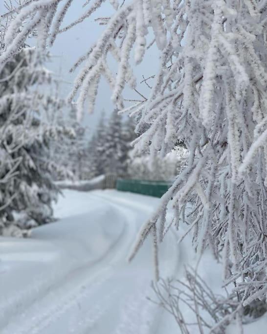 Вілла Blizej Nieba Koskowa Gora Bogdanowka Екстер'єр фото